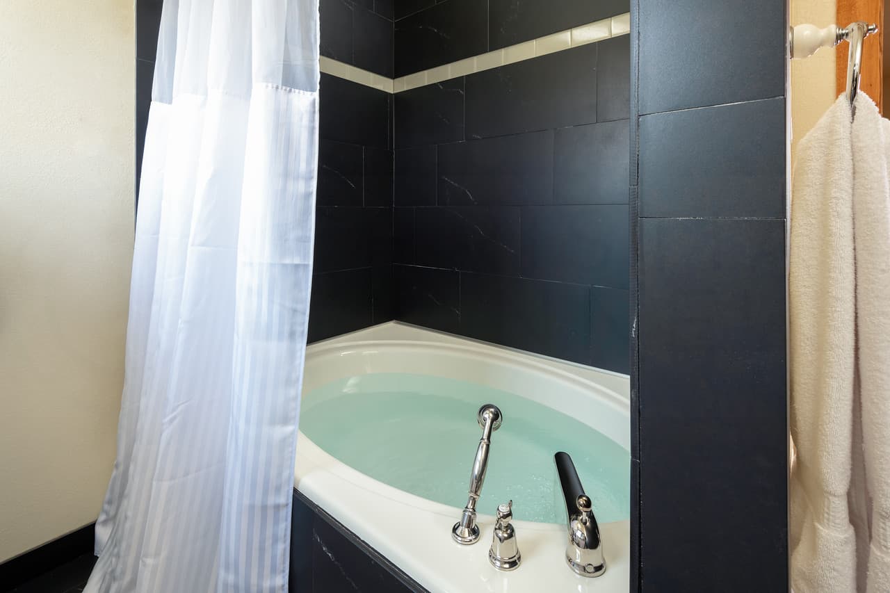 Soaking tub and shower in master bath