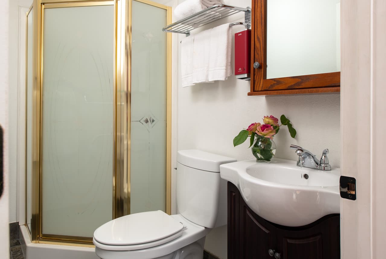 Downstairs bathroom with enclosed shower, toilet, and sink